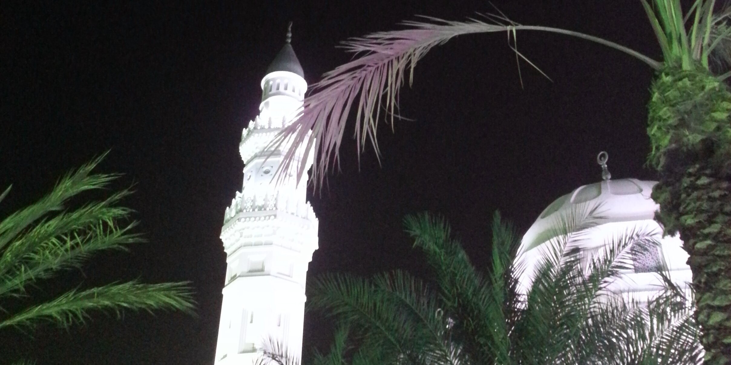 صالح العمري‎ banner