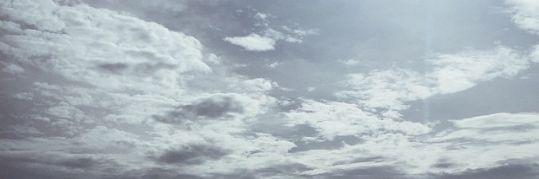 Sylvi Fauziah banner
