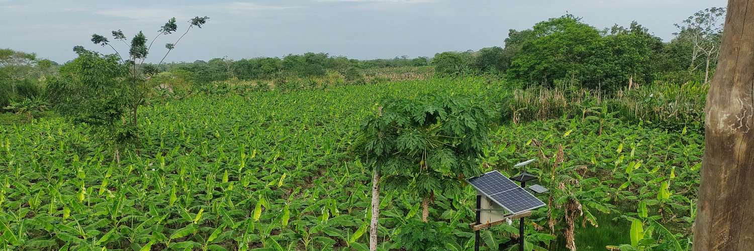 @ikks@mastodon.social banner