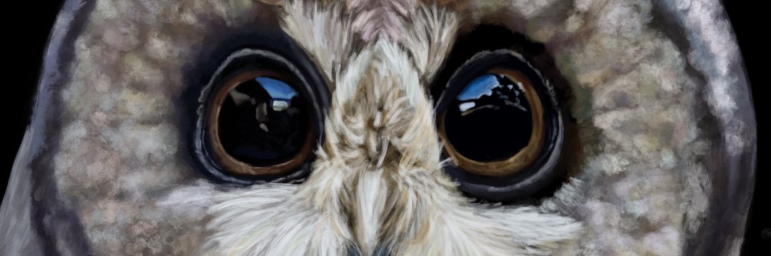 Bailey 🧚🏼‍♀️ banner