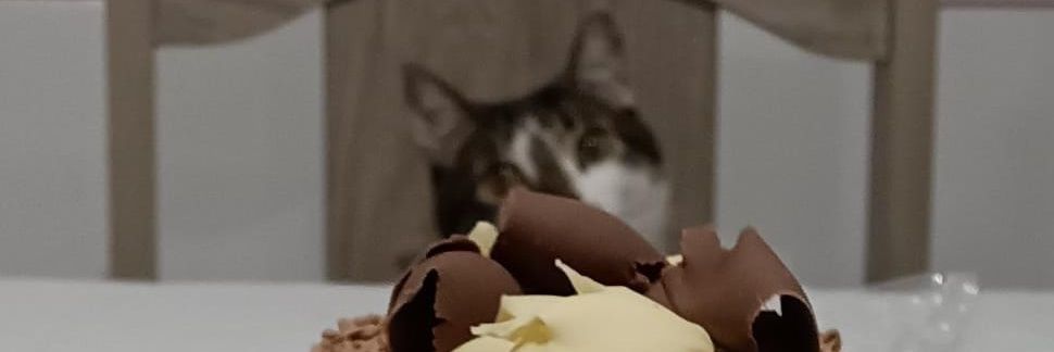 0_desiree_'s profile banner image