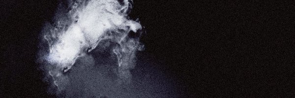 underc0verwhale Profile Banner