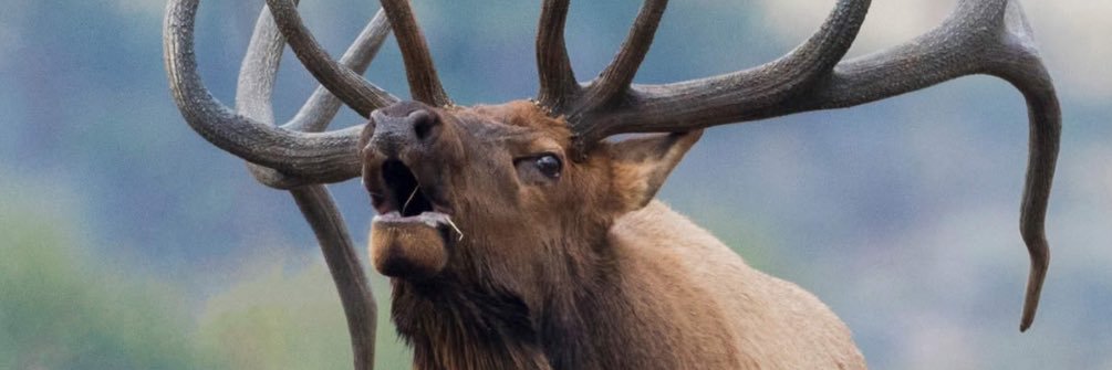 Derrick Clark, CPA banner