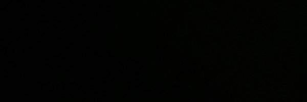 chace_holley Profile Banner