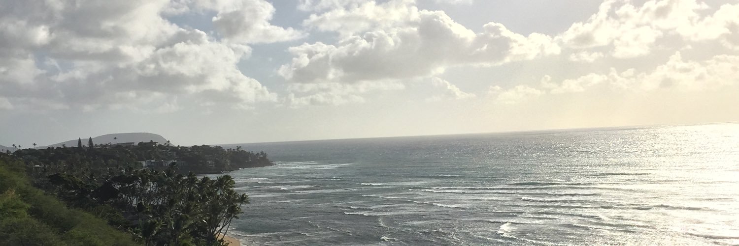 TexPillow's profile banner image