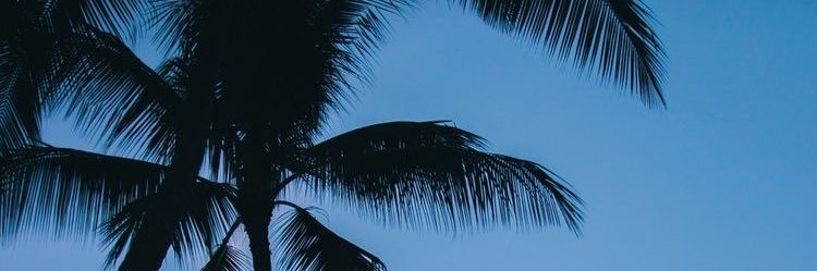 juliaevadro's profile banner image
