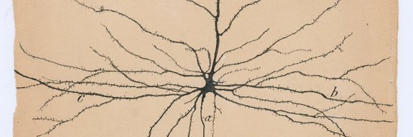 ChloePronovostM Profile Banner