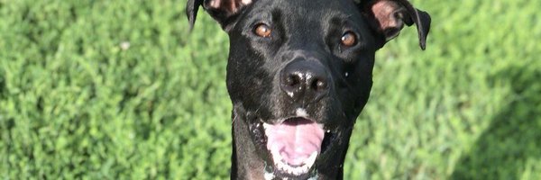 Hero_Jones9 Profile Banner