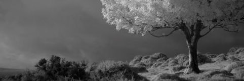 Graham Satchell banner