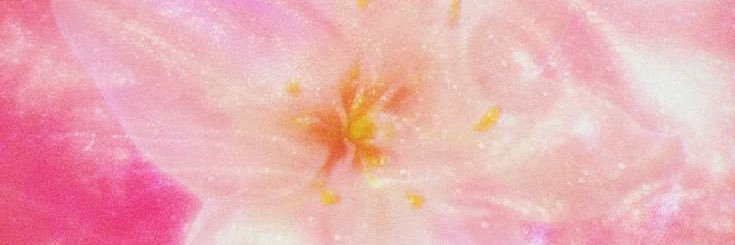 Gio ₊˚⊹ᰔ banner