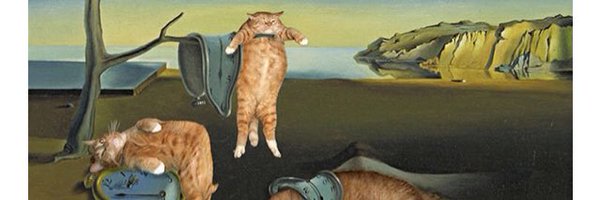 thandya Profile Banner