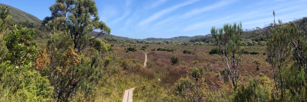 LisaFletcherTas Profile Banner