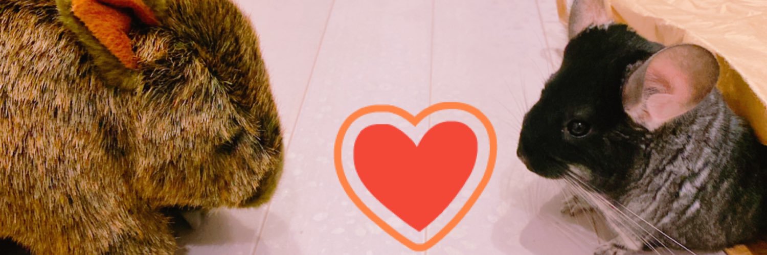 まる🐈‍⬛ིྀ banner