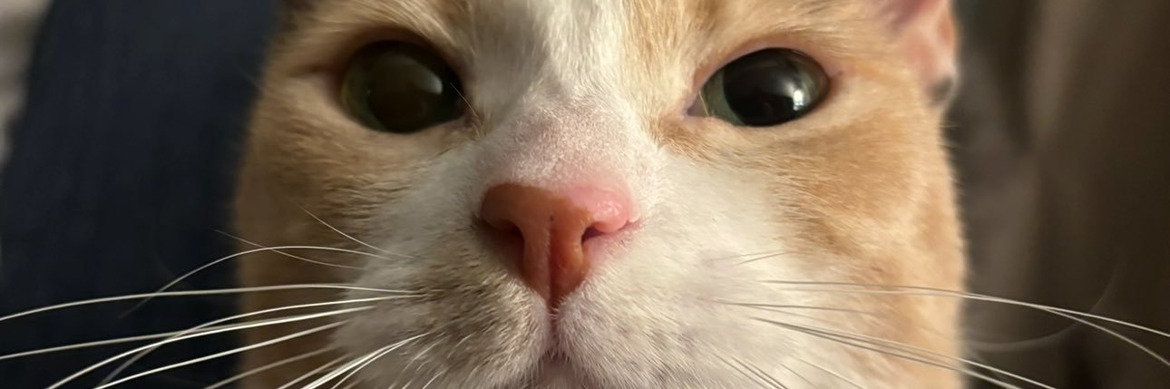 cemresrs's profile banner image