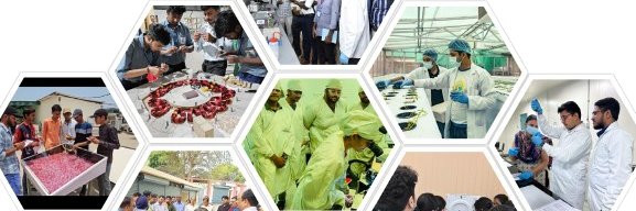 CSIR Integrated Skill Initiative (Official) banner