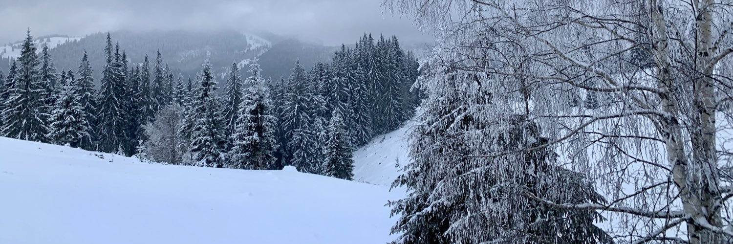 Ciprianovici_B's profile banner image