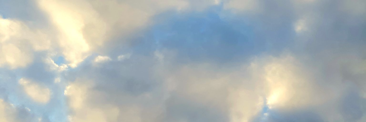 Elizabeth_Wyss's profile banner image