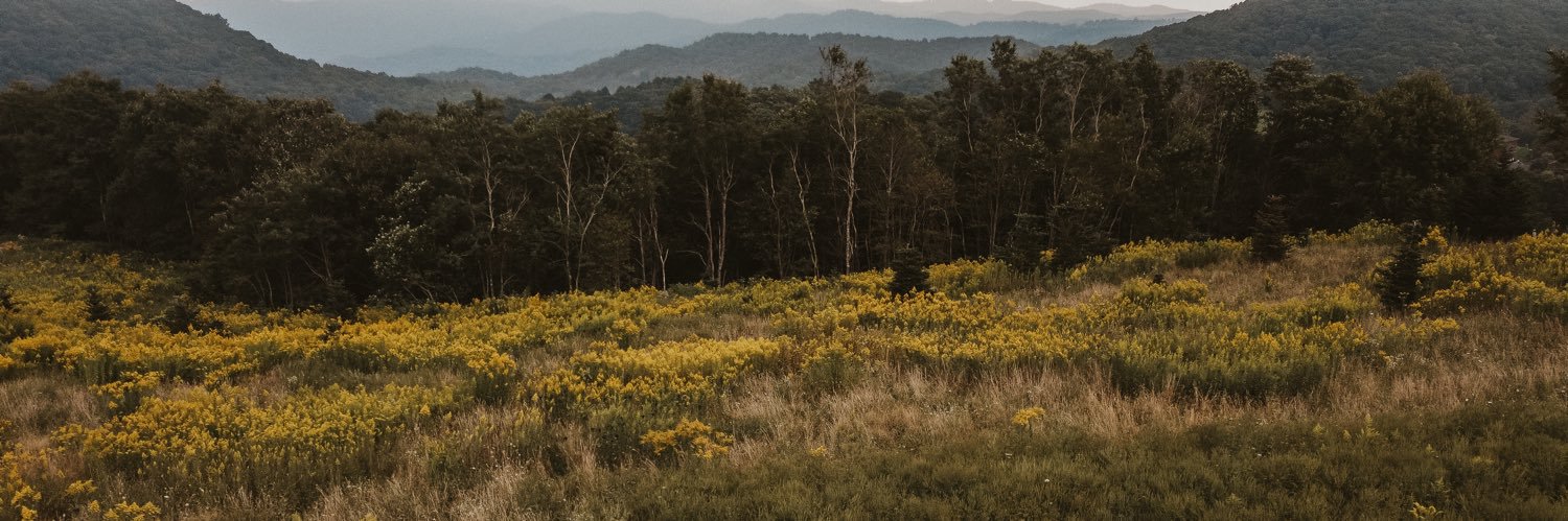 brookehoffma's profile banner image