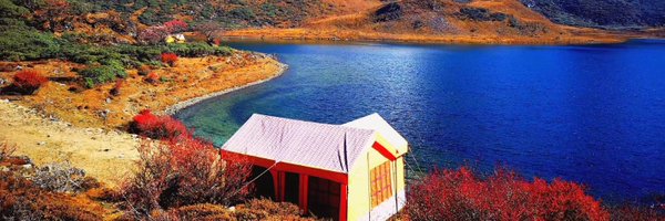 liye_zou Profile Banner