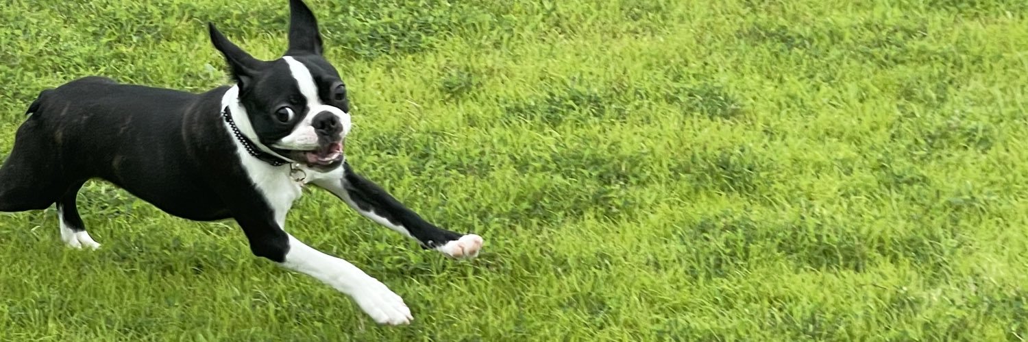 梵との暮らし banner