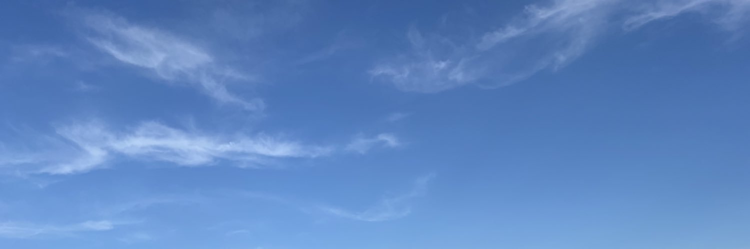 enchanyti's profile banner image