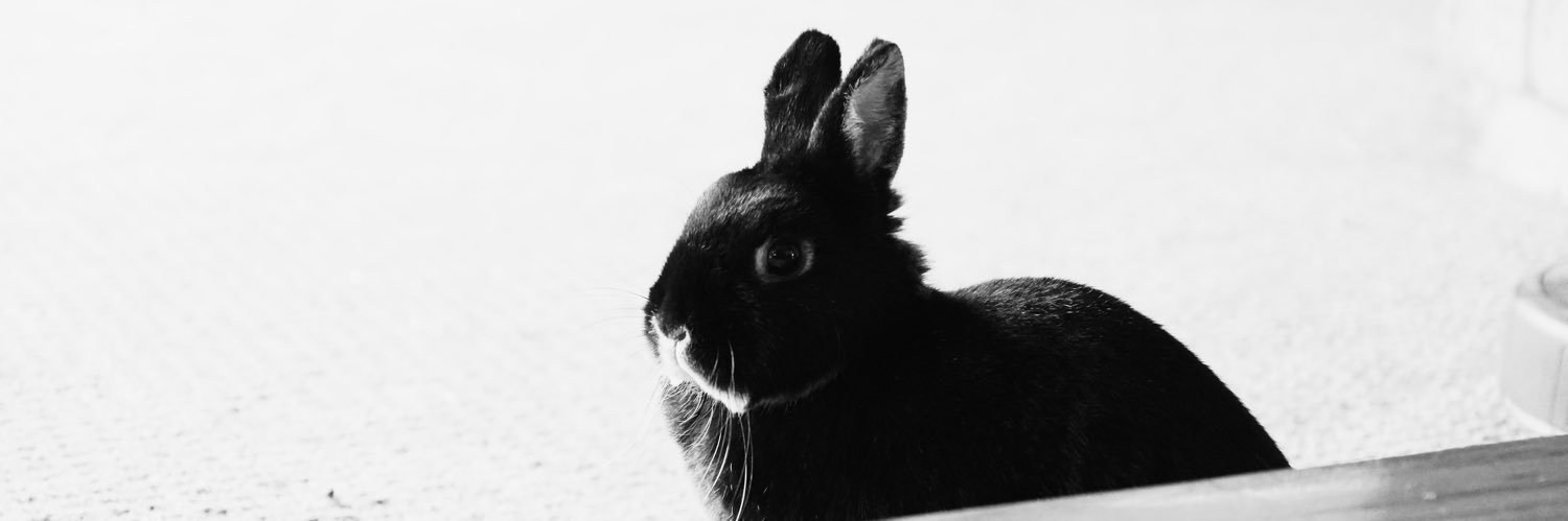 Christian Ærickson banner