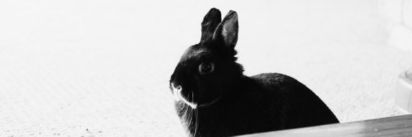 caerickson Profile Banner