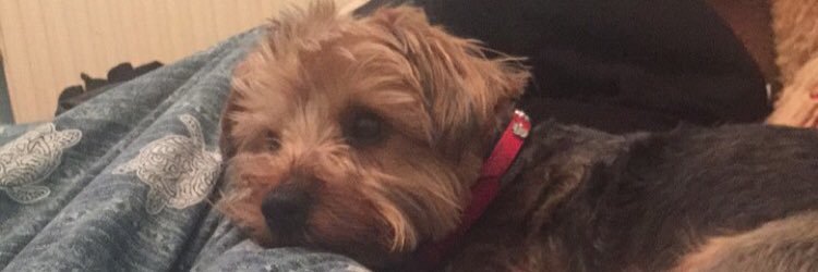 JMaeG_'s profile banner image