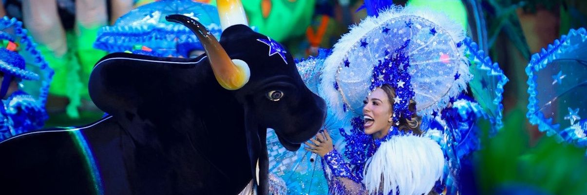 ana 🪇⭐💙 banner