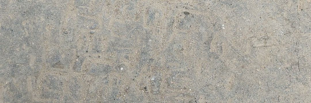 Allu Adhikary banner