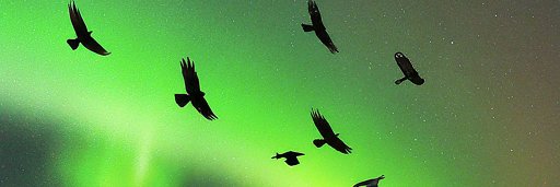 Russell_CRO's profile banner image