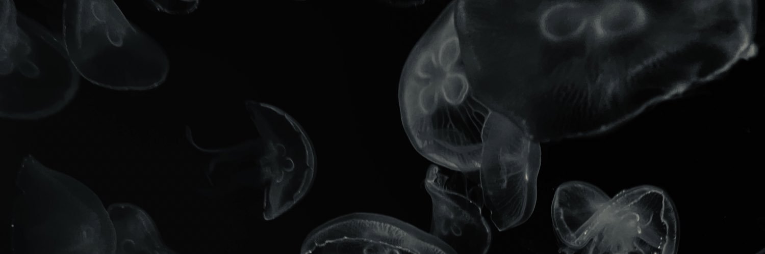 哀憐こおり's banner