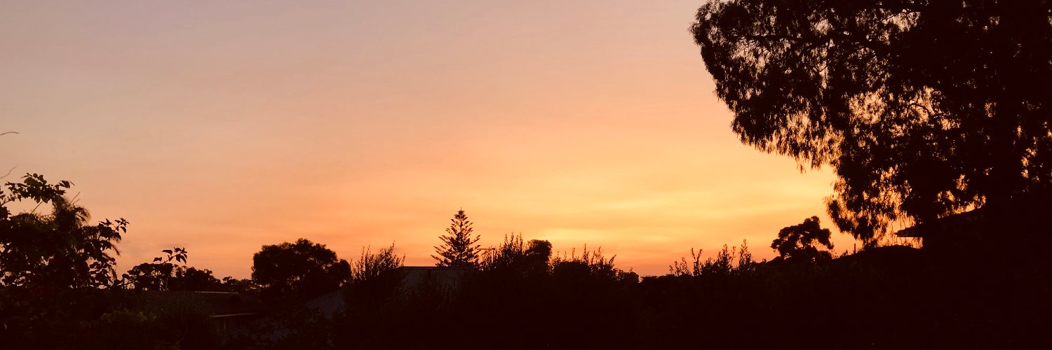 rezzzanator's profile banner image