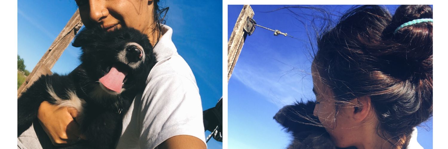 camilalobos9's profile banner image