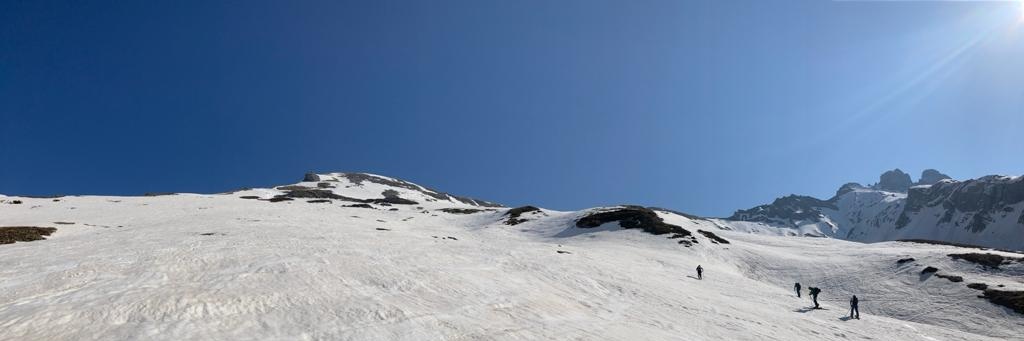 Felix Havermann banner