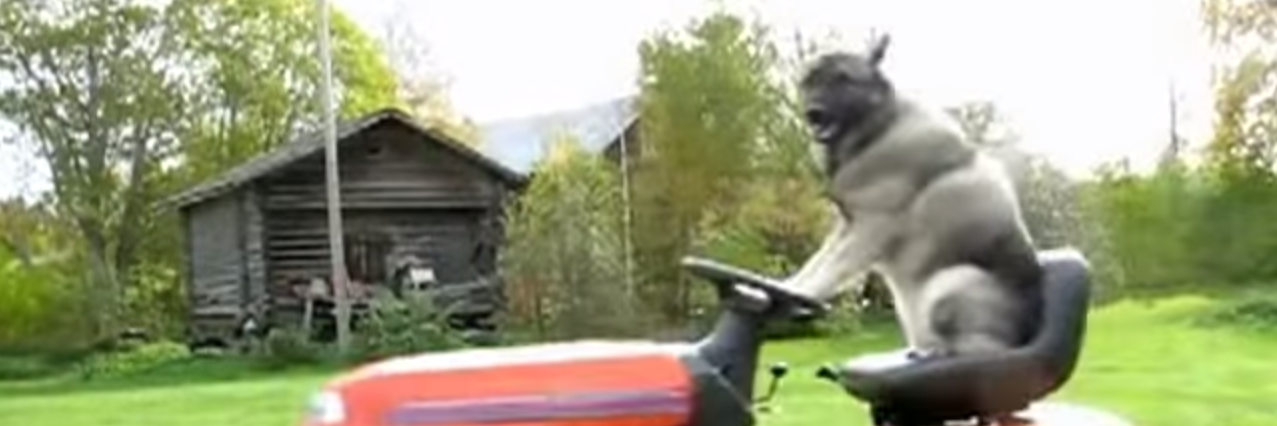 cool dog mowing lawn banner