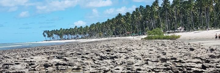 sanchesdaani's profile banner image
