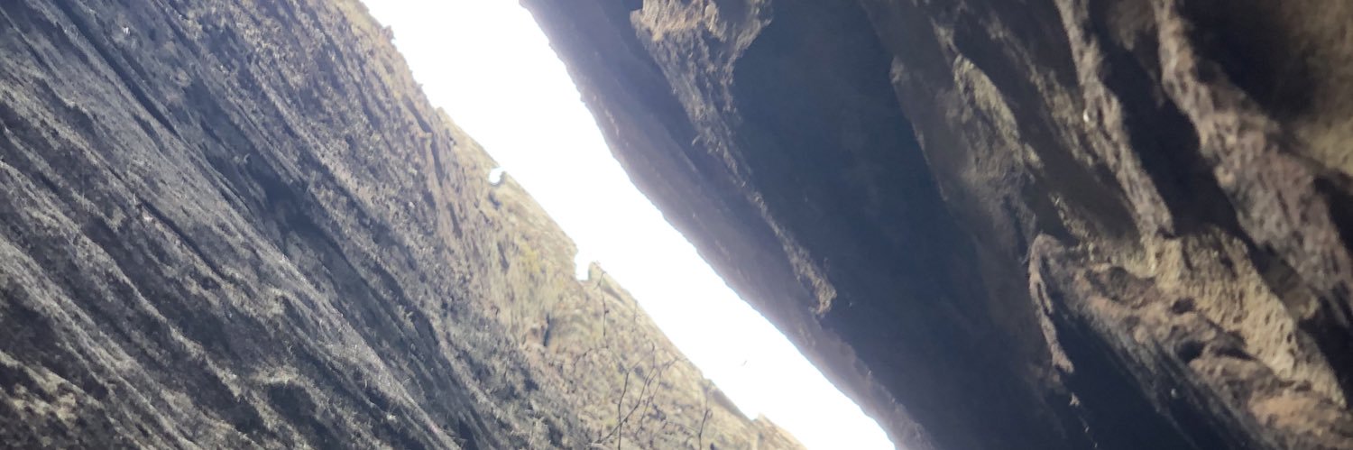 Will_0004's profile banner image