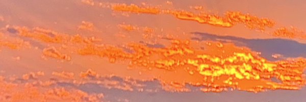 tiaspon81 Profile Banner