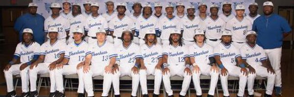 VoorheesBSB Profile Banner