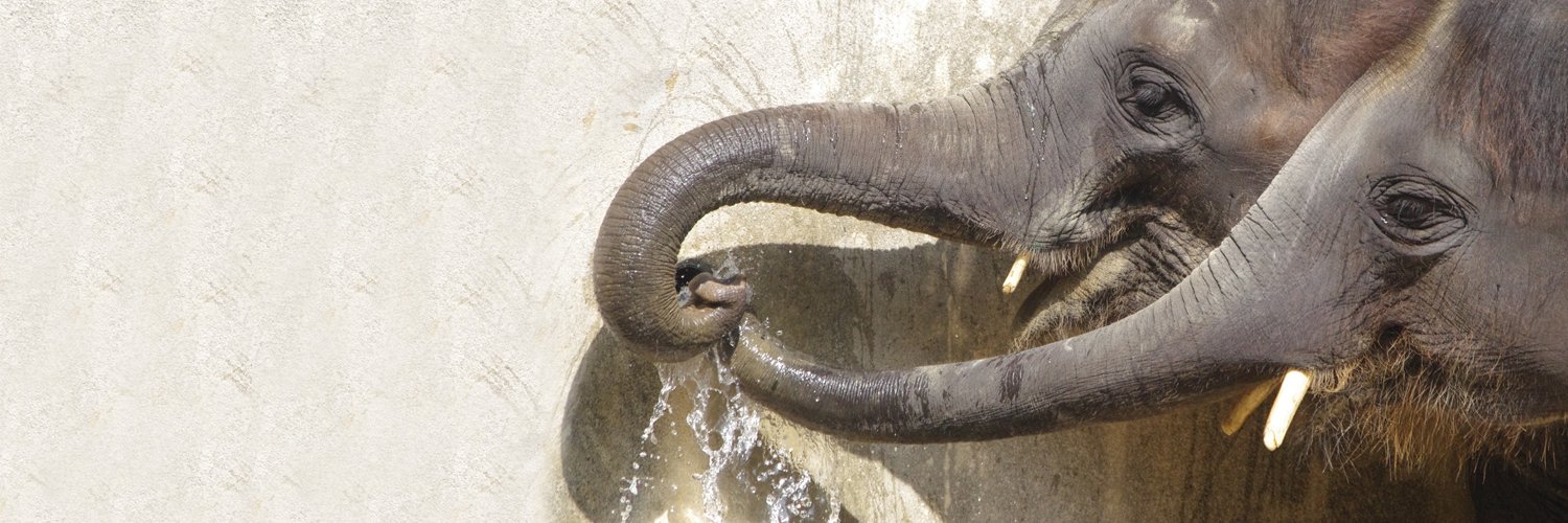 トバリジュウロー banner