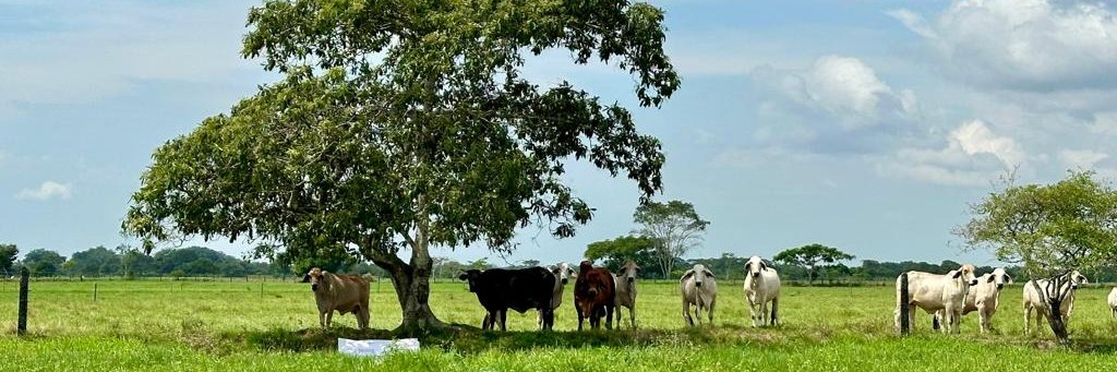 Tecnig@n Meta banner