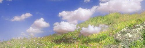 𝓛.'s banner