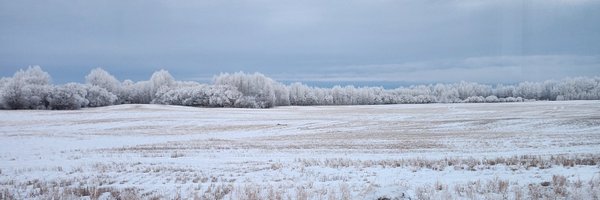 Marielaina3 Profile Banner