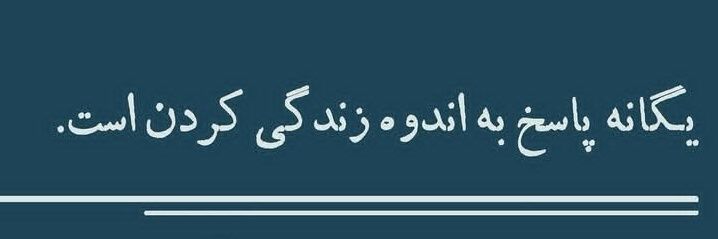 haniye_slm1998's profile banner image