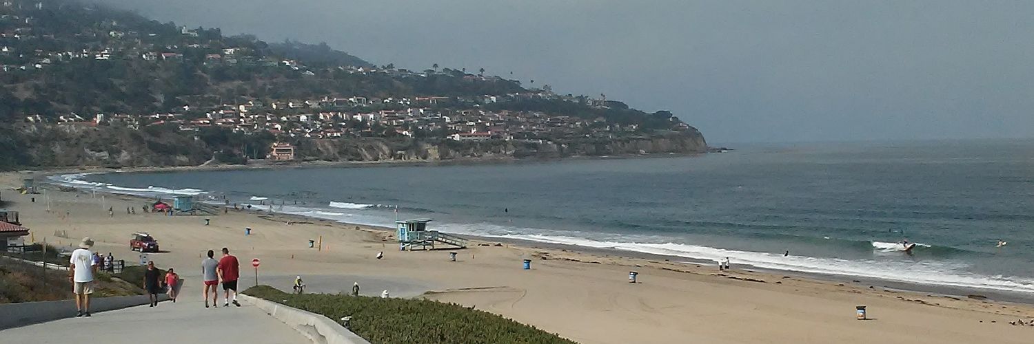 DigetDogs2020's profile banner image