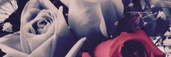 rooraa0's profile banner image