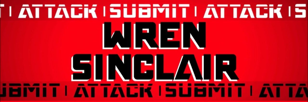 WrestleEmWren's profile banner image