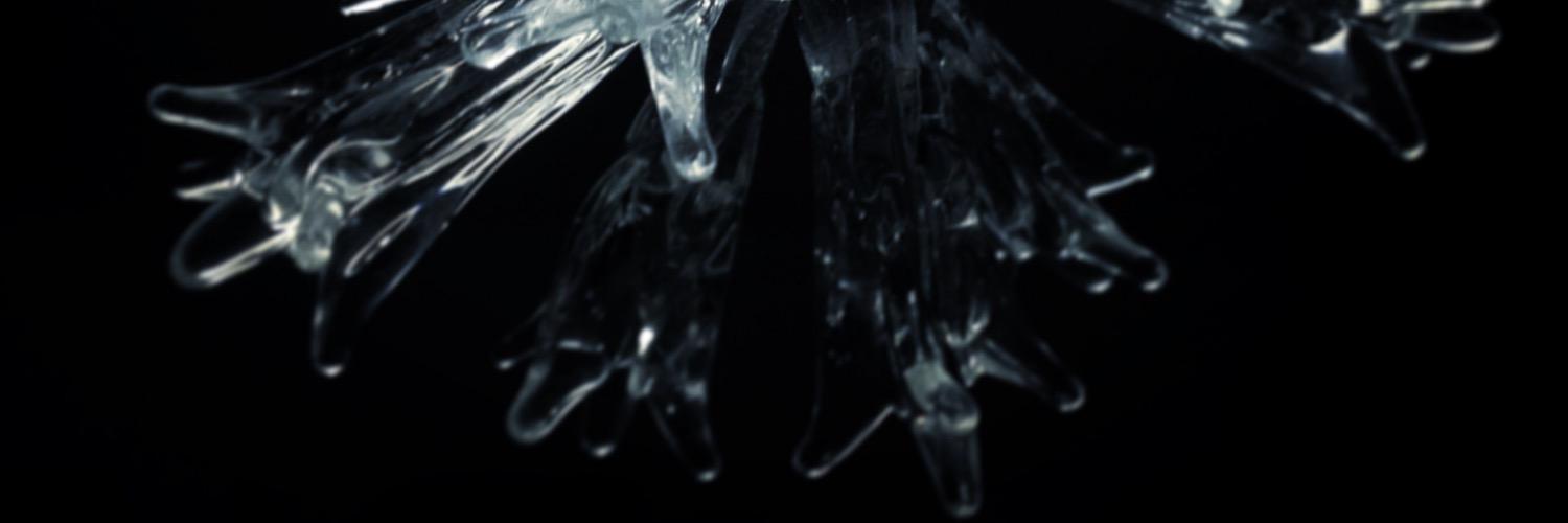 Anielkha's profile banner image