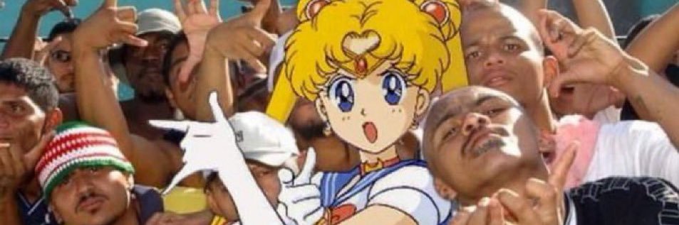 🚰🦬🪽 ◊ banner